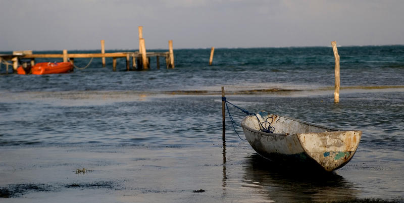 a tender tied up and  beached at low tide with